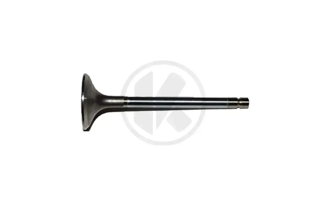 s1600530101   intake valve